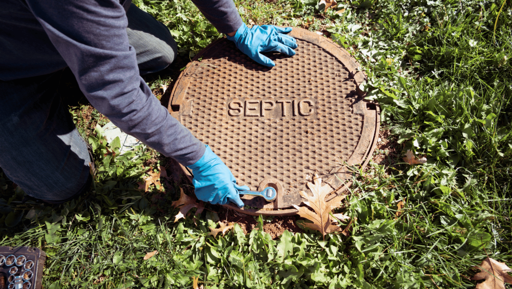 Expert Recommendations for Louisiana Homeowners