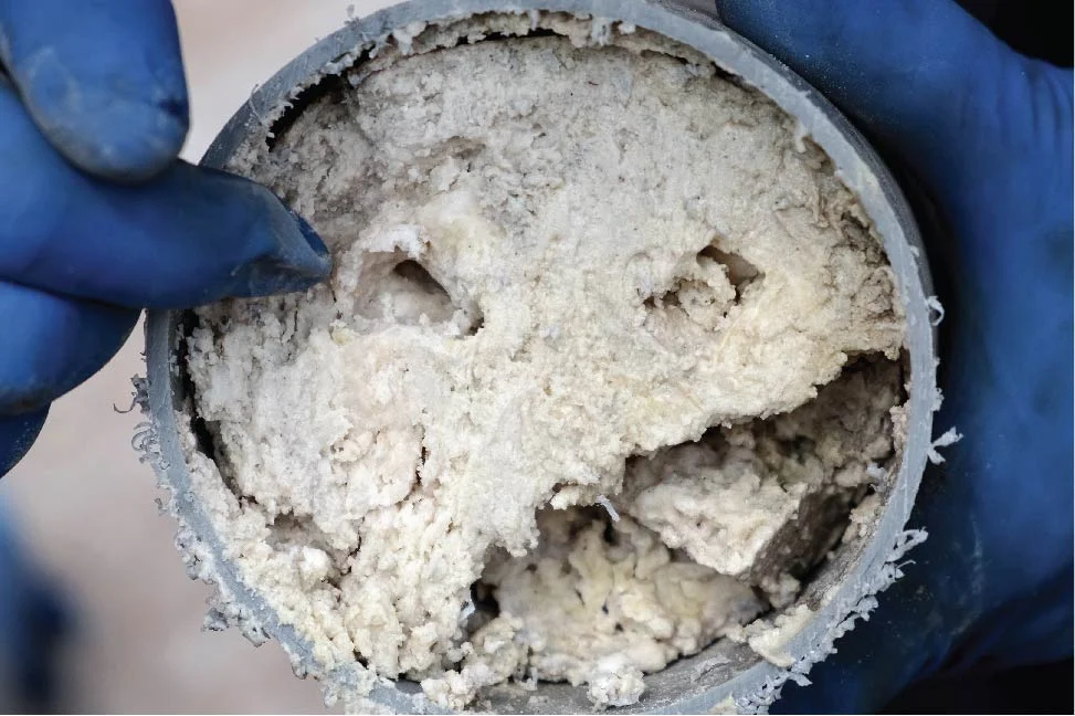 How to Prevent Future Sewer Line Clogs