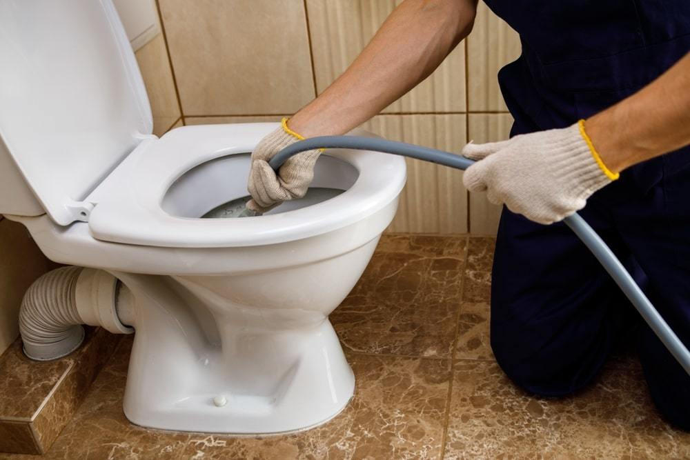 Professional Solutions for Toilet Paper Sewer Line Clogs