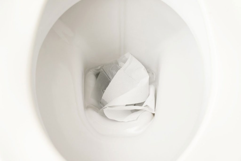 Risks of Ignoring a Toilet Paper Sewer Line Clog