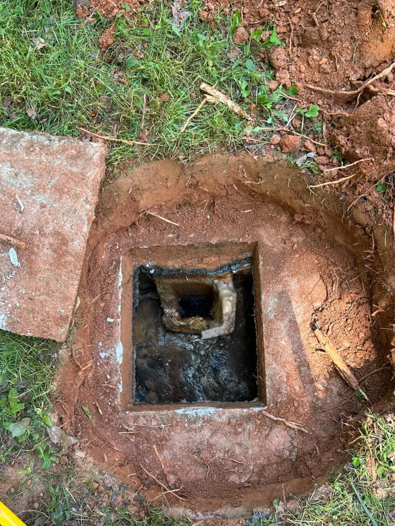 Septic System Longevity in Louisiana