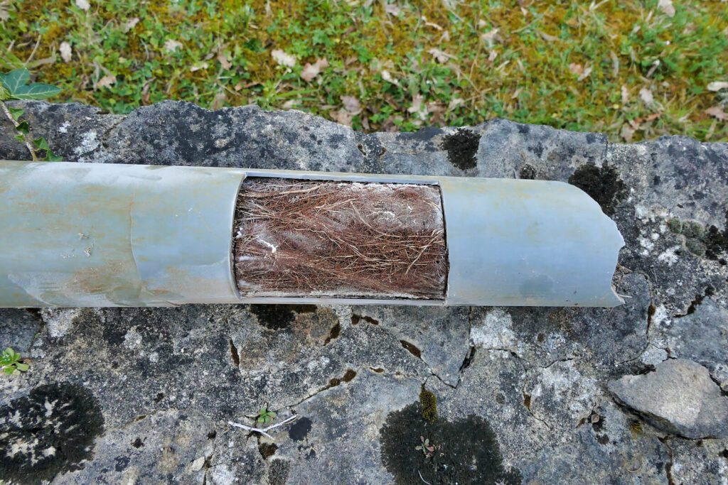 How Long Do Sewer Lines Last 3 Signs Your Sewer Line Is Nearing the End of Its Life