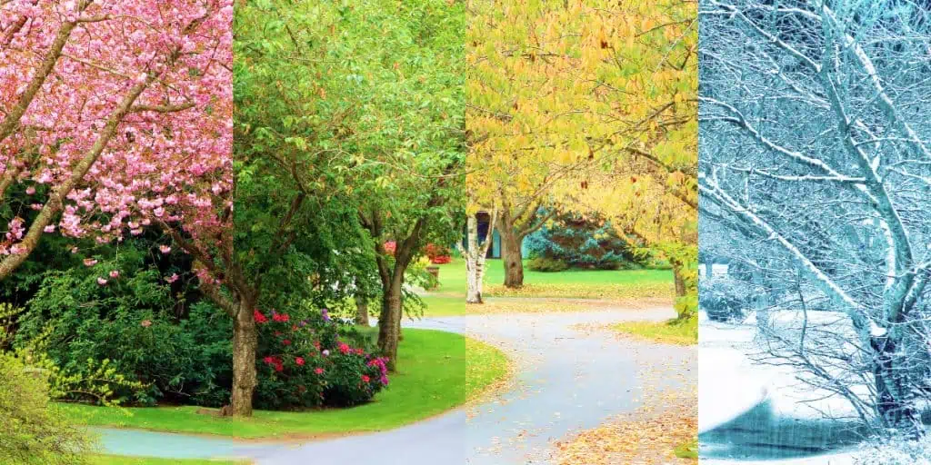 Why Seasonal Timing Matters for Septic Inspections